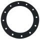 DEEZ Performance 12-Bolt Bung gasket