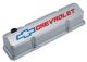 Proform Chevy small-block Metallic Gray Die-Cast Aluminum Slant-Edge Valve Covers 141-923