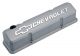 Proform Chevy small-block Cast Gray Crinkle Die-Cast Aluminum Slant-Edge Valve Covers 141-925